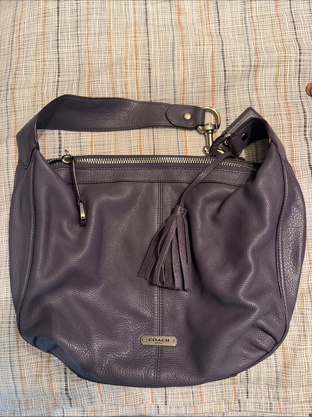 Coach Pebbled Leather Hobo Bag in Plum